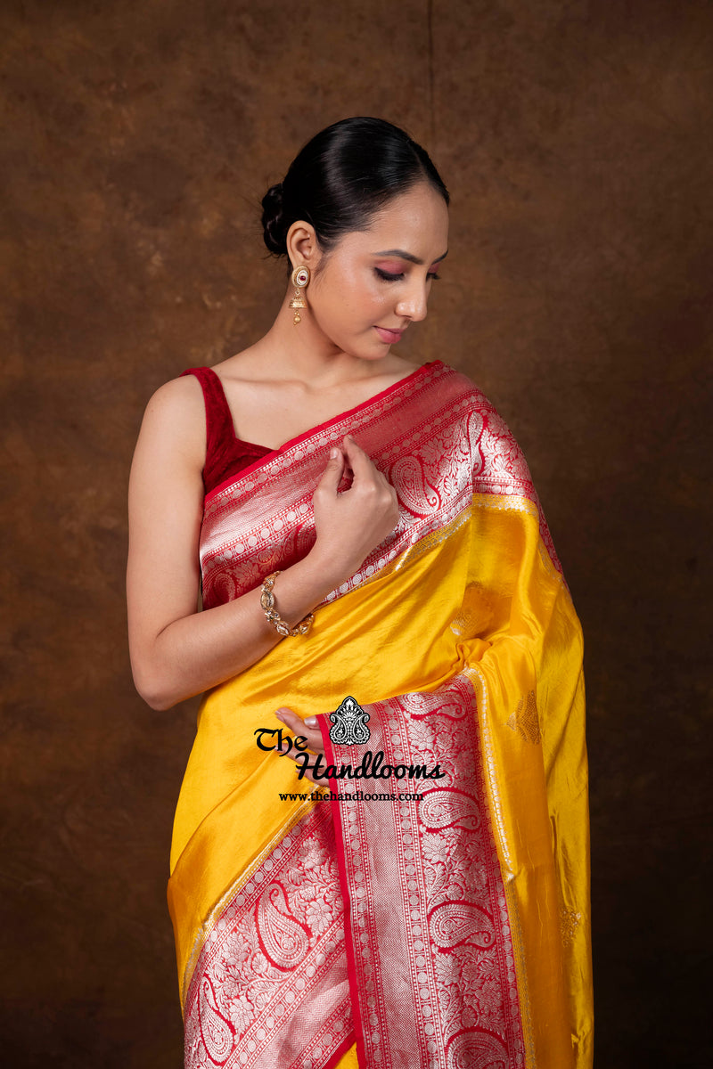Pure Katan Silk Banarasi Handloom Saree - All Over Kadua Boota