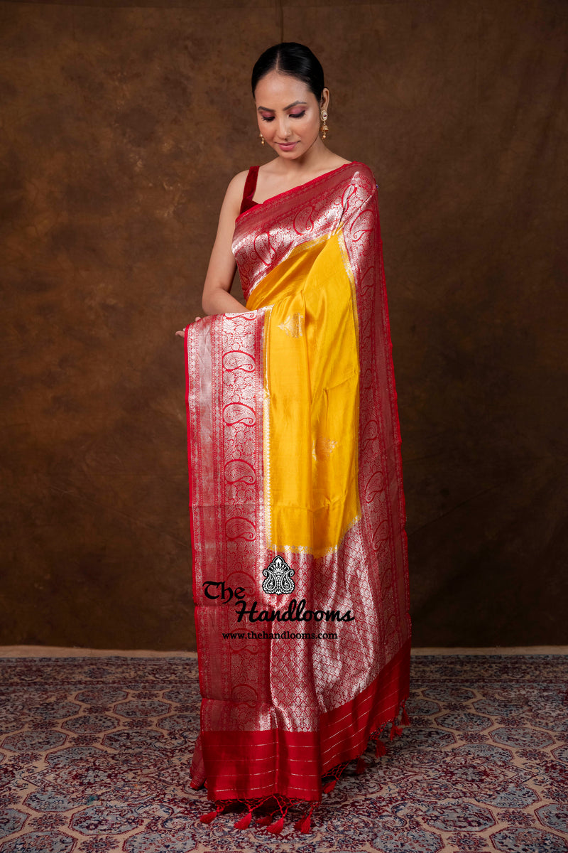 Pure Katan Silk Banarasi Handloom Saree - All Over Kadua Boota