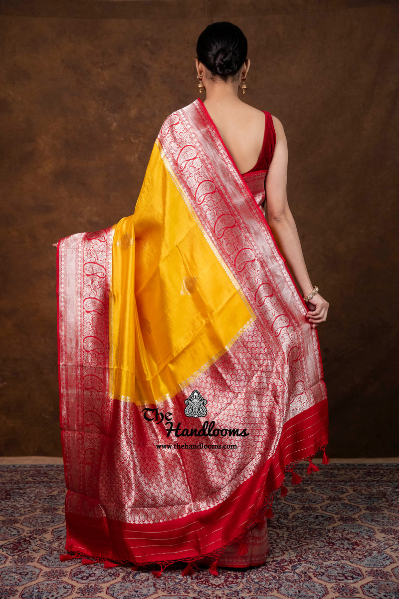 Pure Katan Silk Banarasi Handloom Saree - All Over Kadua Boota