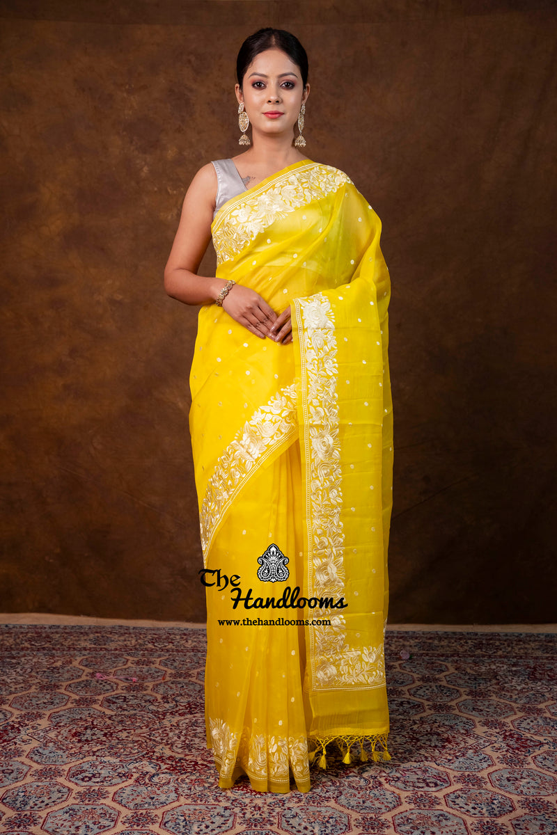 Pure Organza Chikankari Handloom Banarasi Saree