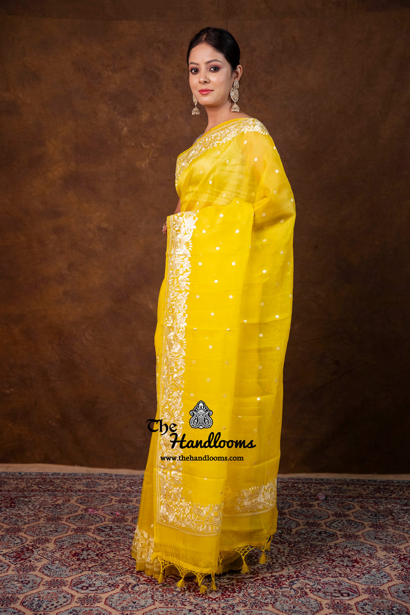 Pure Organza Chikankari Handloom Banarasi Saree