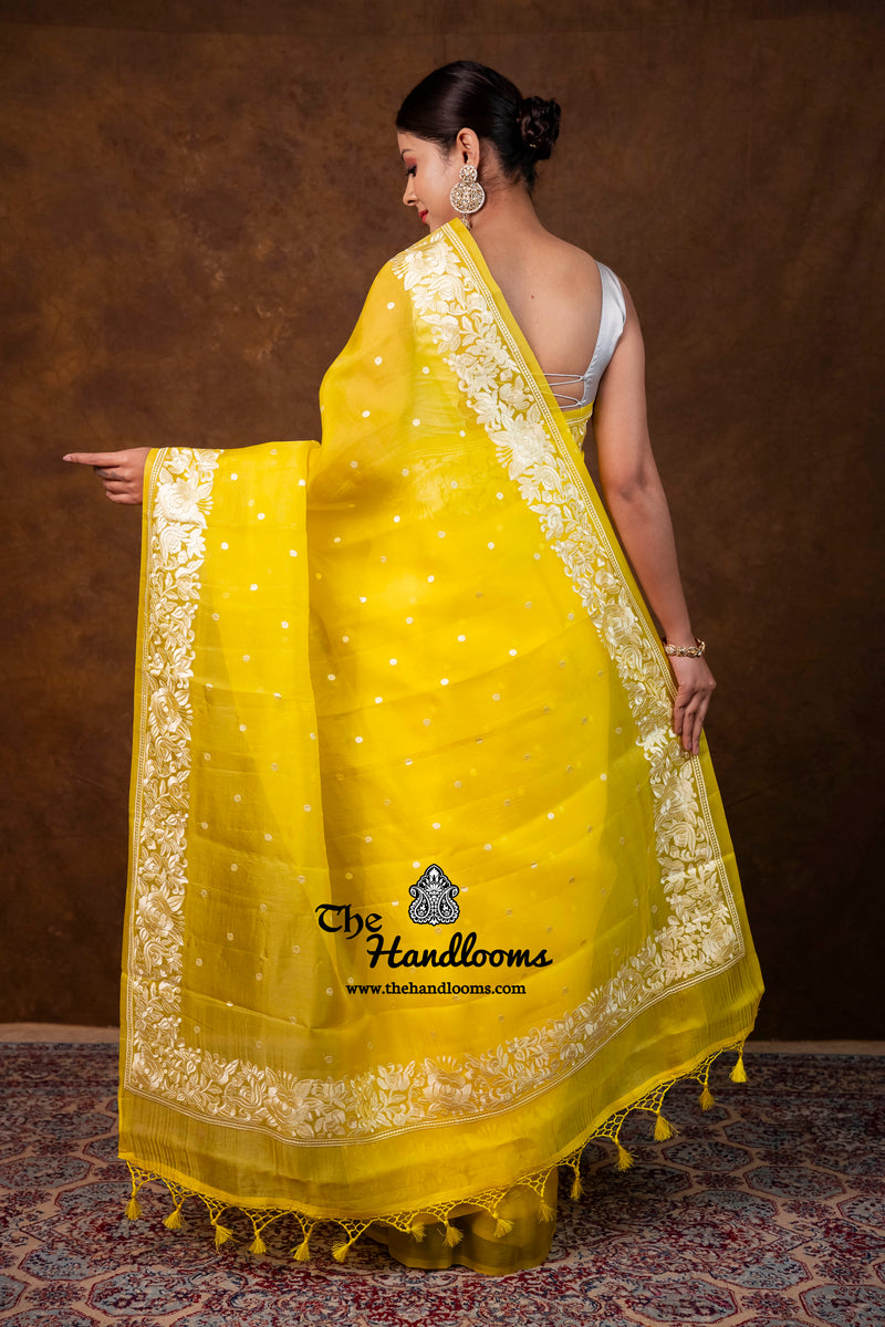 Pure Organza Chikankari Handloom Banarasi Saree