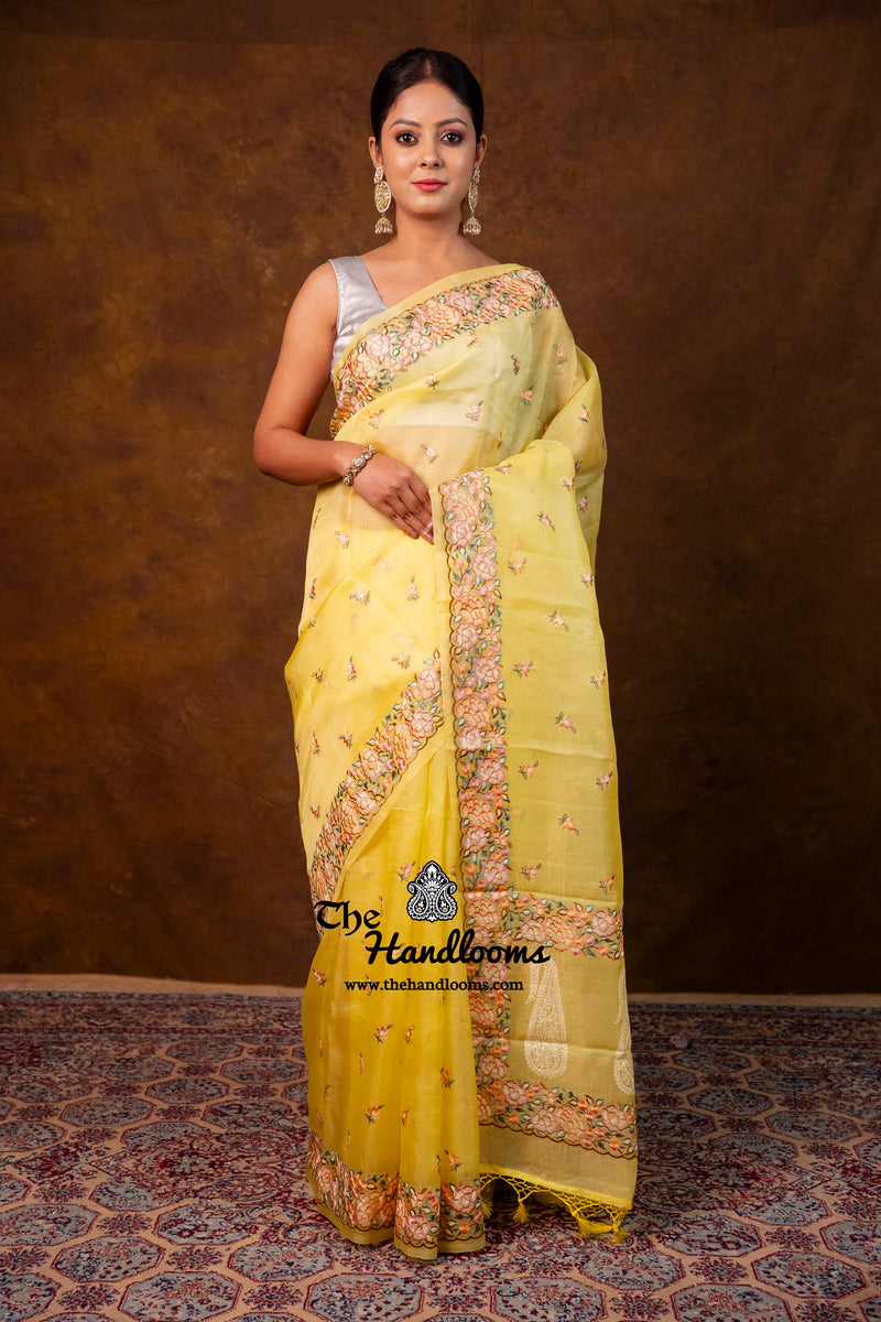 Pure Organza Chikankari Handloom Banarasi Saree
