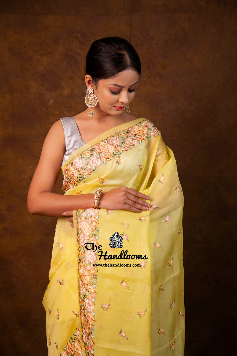 Pure Organza Chikankari Handloom Banarasi Saree