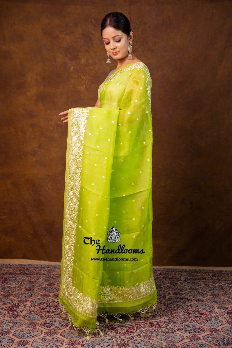 Pure Organza Chikankari Handloom Banarasi Saree