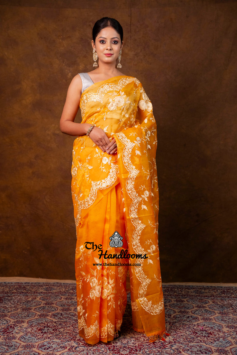 Pure Organza Chikankari Handloom Banarasi Saree