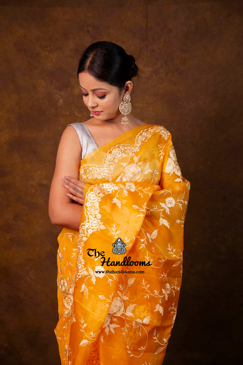Pure Organza Chikankari Handloom Banarasi Saree