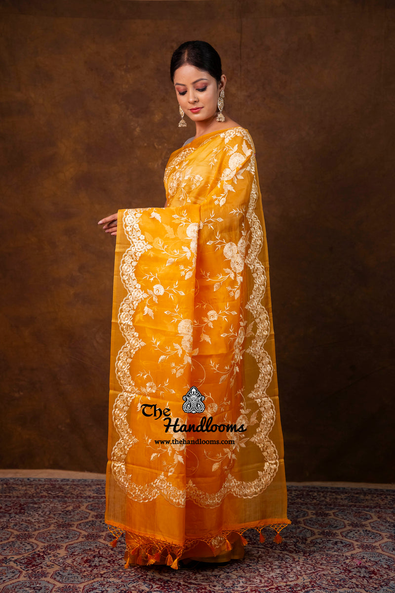 Pure Organza Chikankari Handloom Banarasi Saree