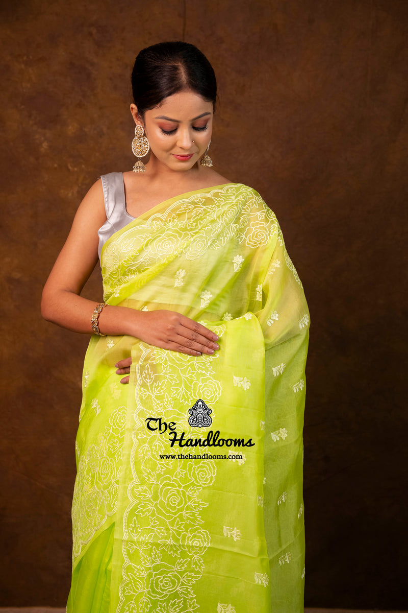 Pure Organza Chikankari Handloom Banarasi Saree