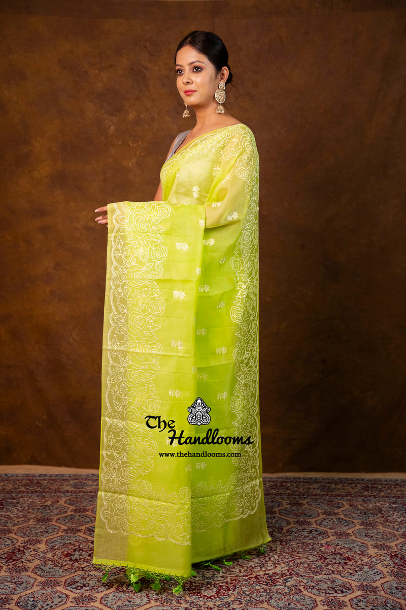 Pure Organza Chikankari Handloom Banarasi Saree