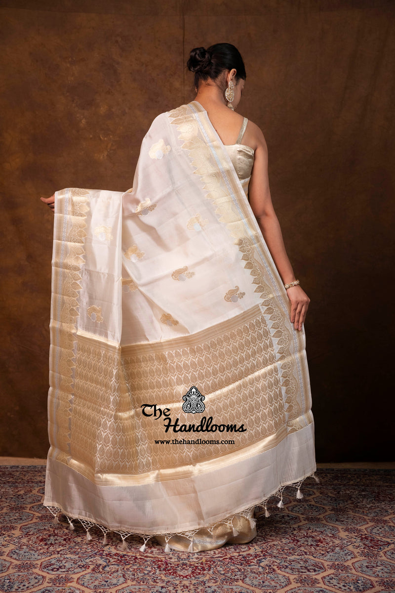 Pure Mango Silk Banarasi Handloom Saree