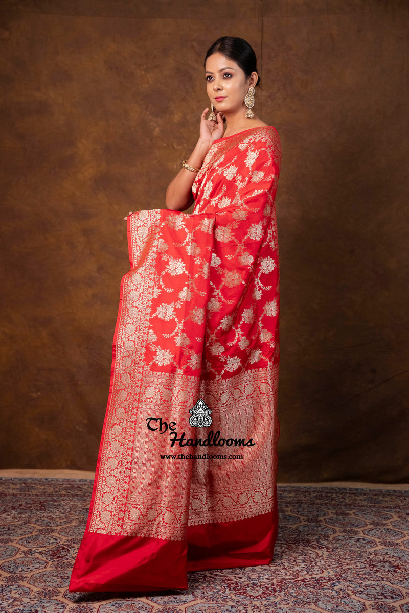 Pure Katan Silk Banarasi Handloom Saree - All Over Jaal Work - The Handlooms