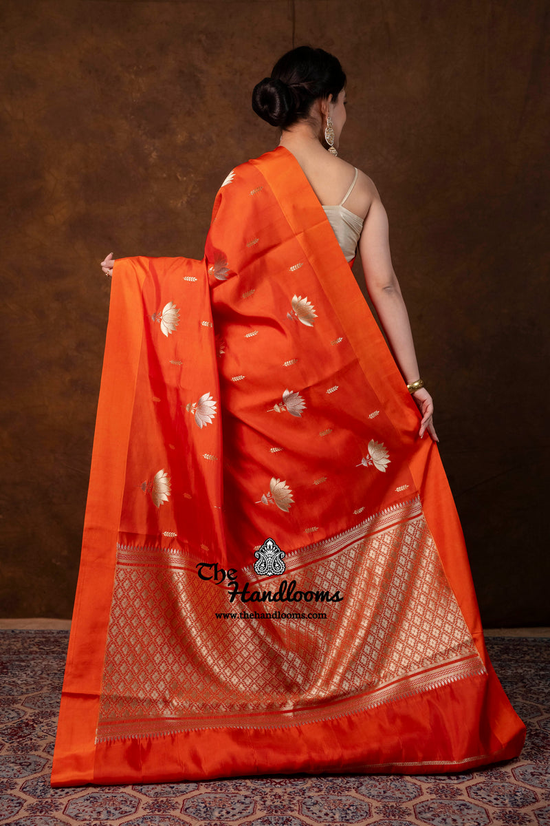 Pure Mango Silk Banarasi Handloom Saree