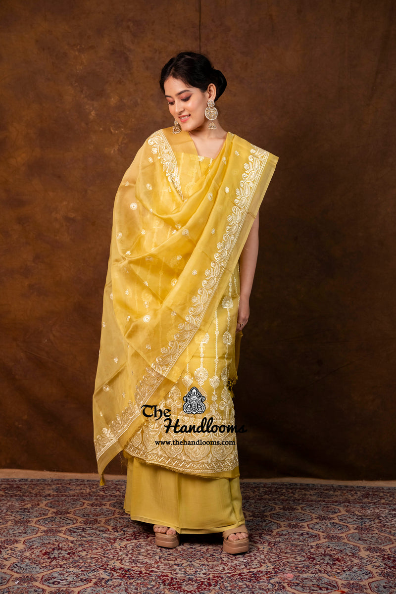 pure organza dress material Jay Vijay Heer Pure Organza Dress Material Wholesale Online Mumbai