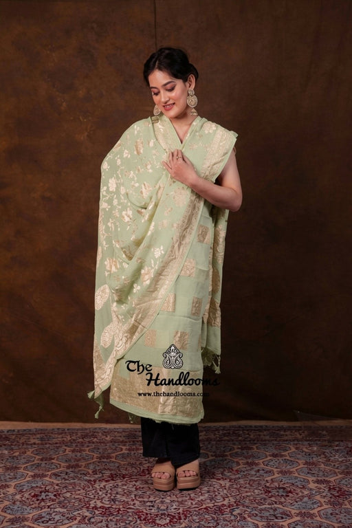Khaddi Georgette Banarasi Dress Material Water Zari - The Handlooms