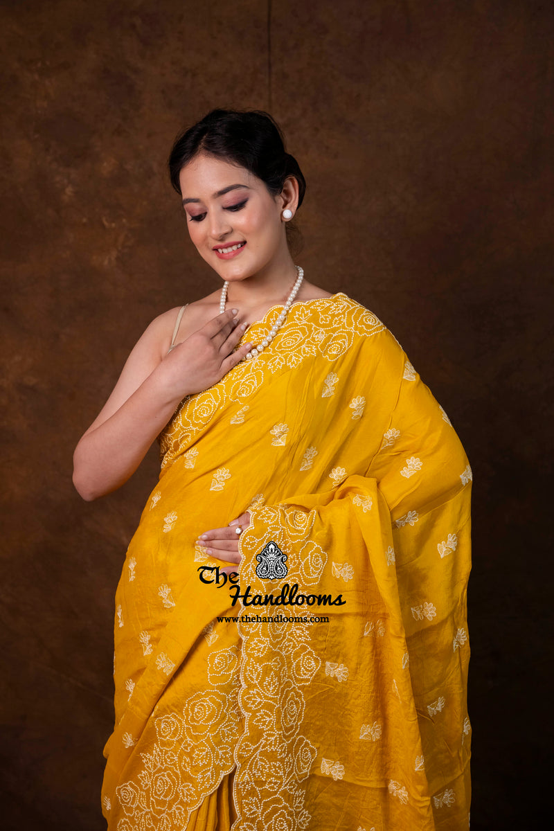 Pure Georgette Chikankari Handloom Banarasi Saree