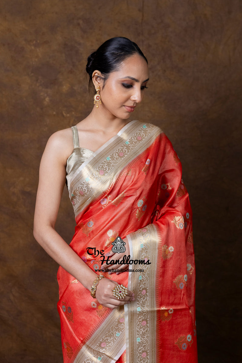 Pure Tussar Silk Handloom Banarasi Saree - Meenakari