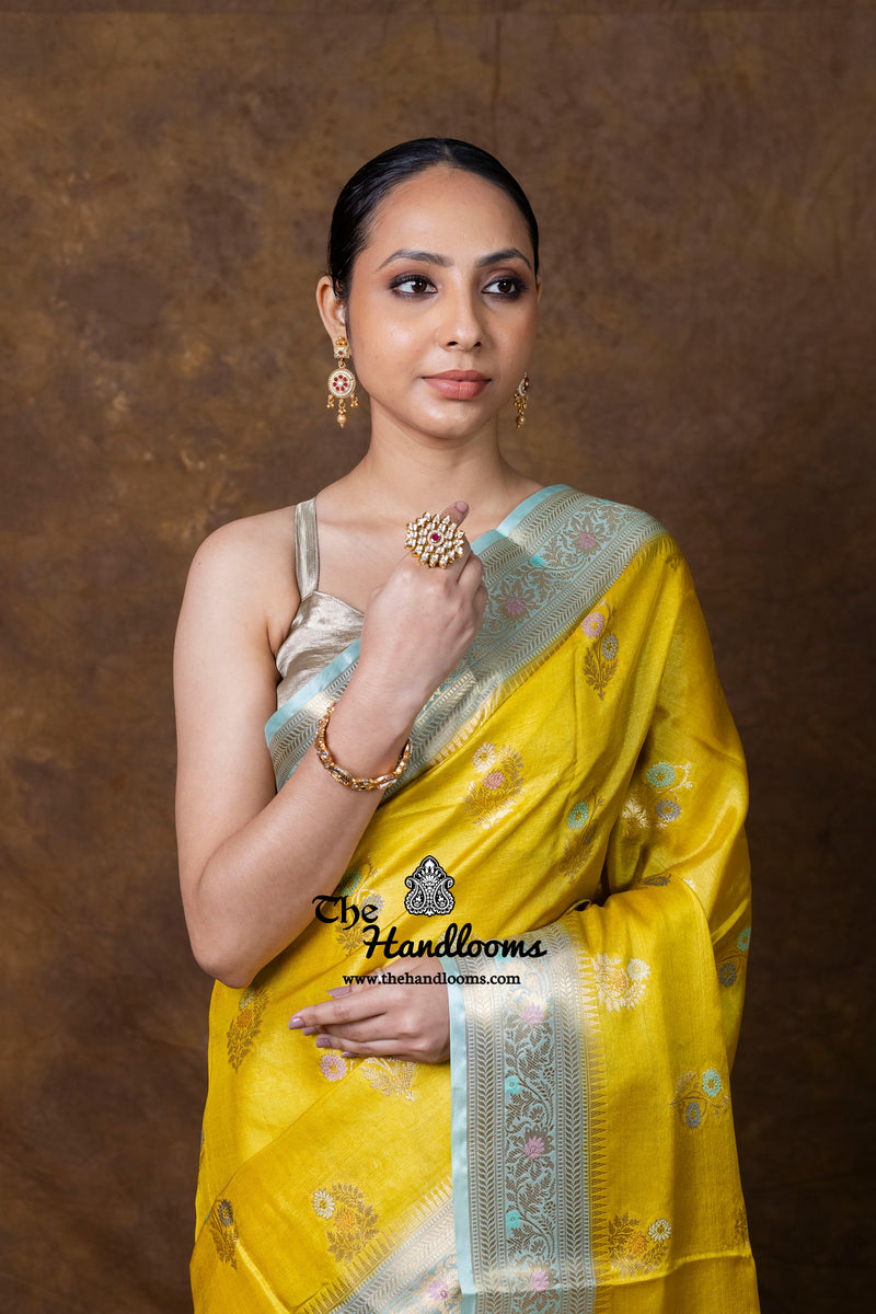 Pure Tussar Silk Handloom Banarasi Saree - Meenakari