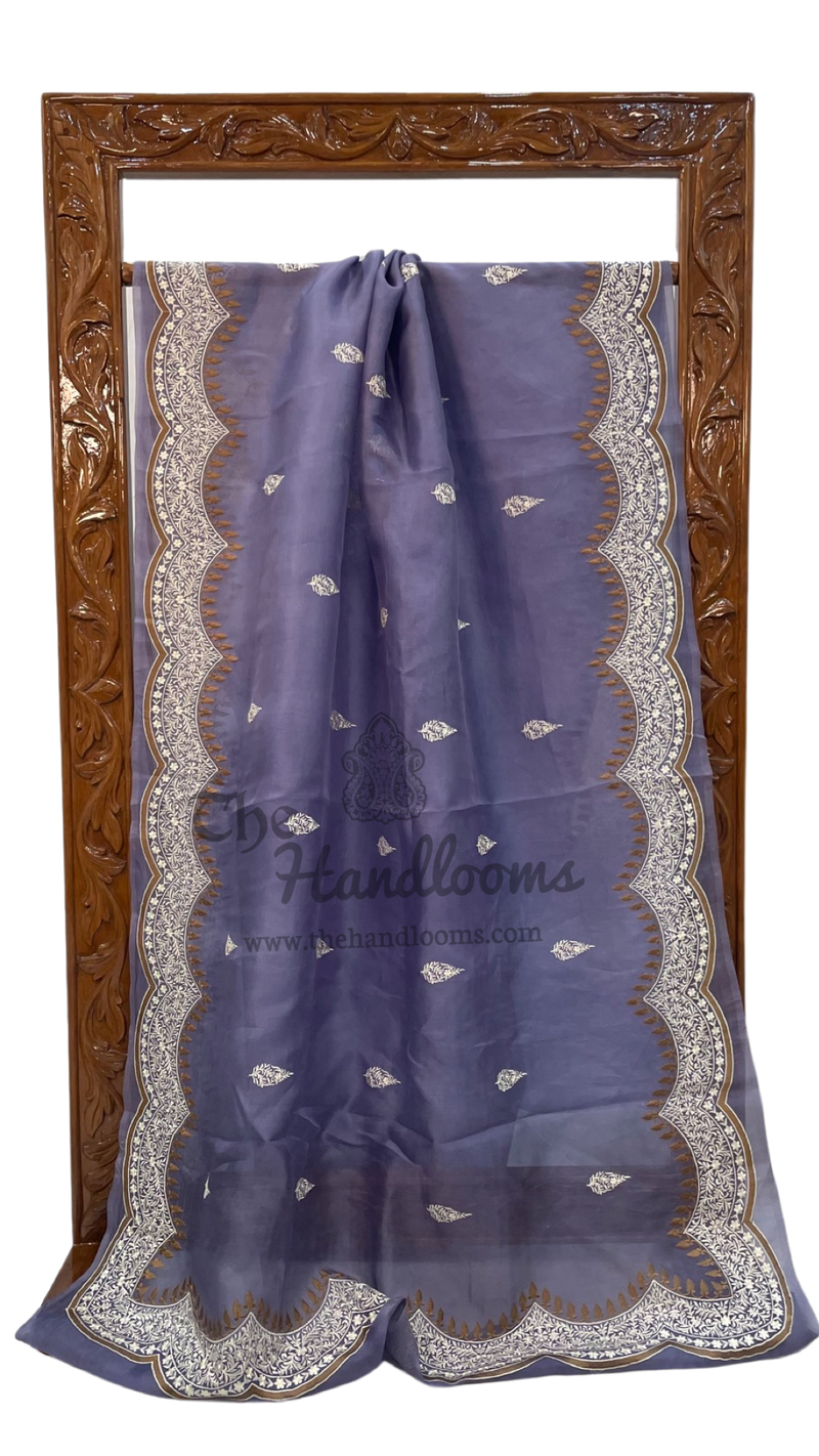 Pure Organza Chikankari Handloom Banarasi Saree - The Handlooms