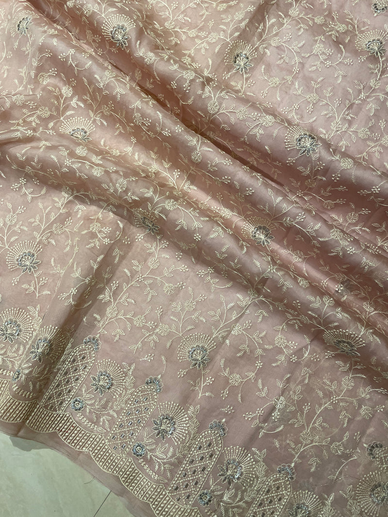 Pure Organza Chikankari Handloom Banarasi Saree - The Handlooms