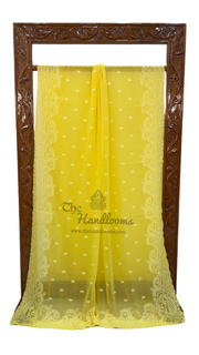 Pure Georgette Chikankari Handloom Banarasi Saree - The Handlooms