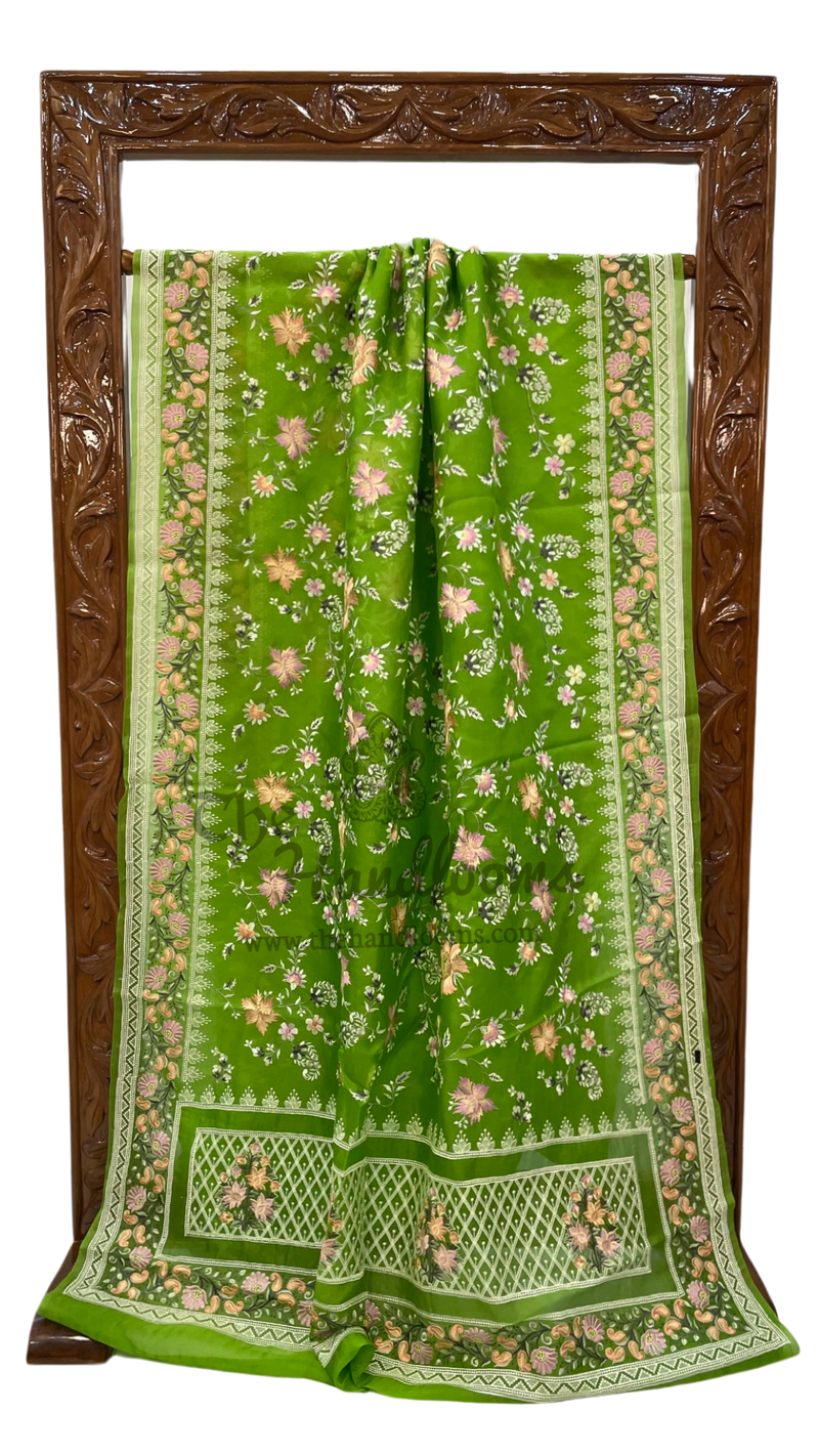 Organza Chikankari Handloom Banarasi Saree - The Handlooms