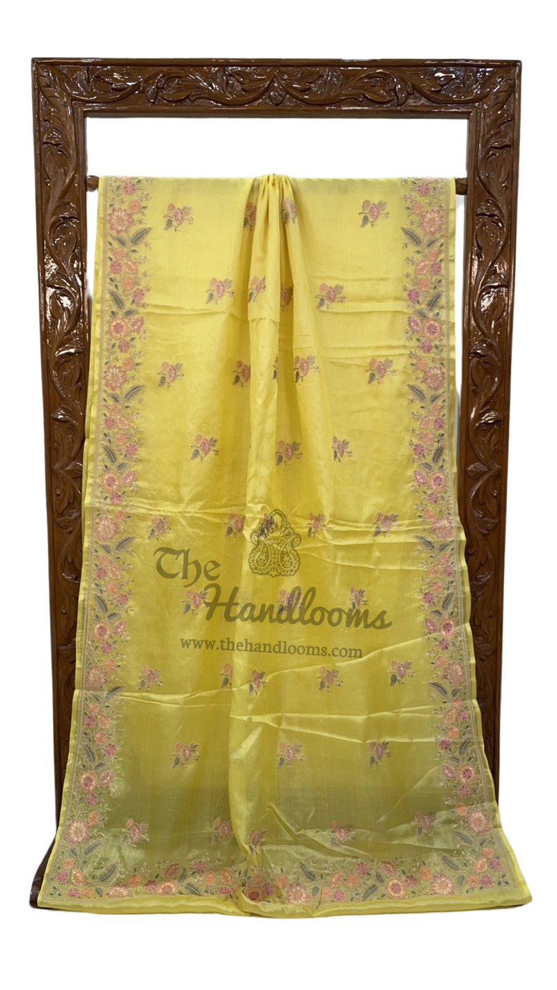 Tussar Silk Handloom Banarasi Saree With Chikankari - The Handlooms