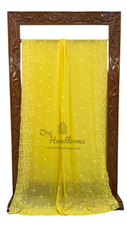 Pure Georgette Chikankari Handloom Banarasi Saree - The Handlooms