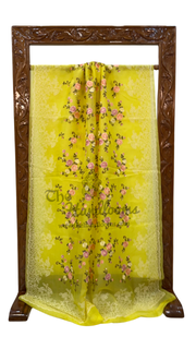 Organza Chikankari Handloom Banarasi Saree - The Handlooms