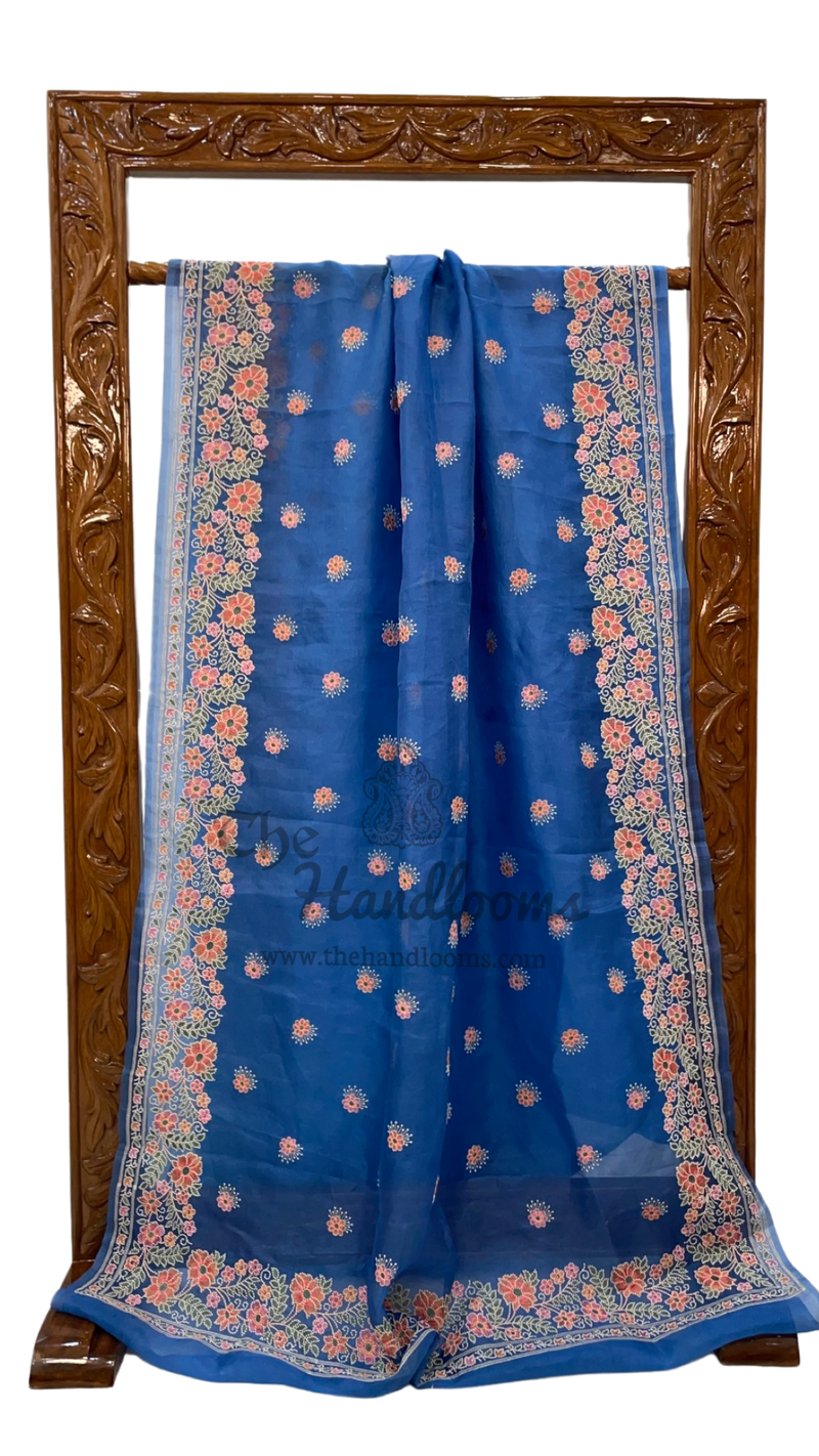 Pure Organza Chikankari Handloom Banarasi Saree - The Handlooms