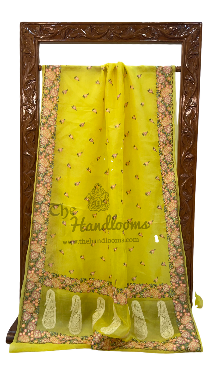 Pure Organza Chikankari Handloom Banarasi Saree - The Handlooms