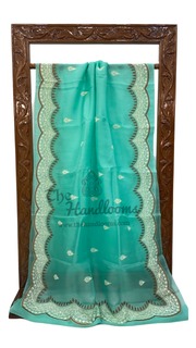 Pure Organza Chikankari Handloom Banarasi Saree - The Handlooms