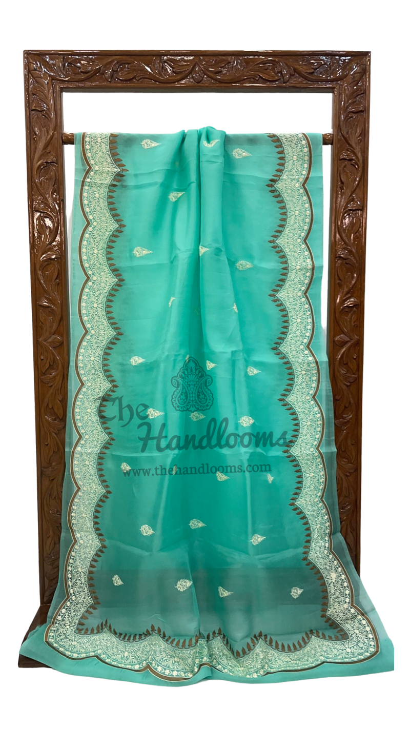 Pure Organza Chikankari Handloom Banarasi Saree - The Handlooms