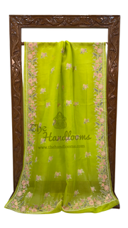 Pure Organza Chikankari Handloom Banarasi Saree - The Handlooms