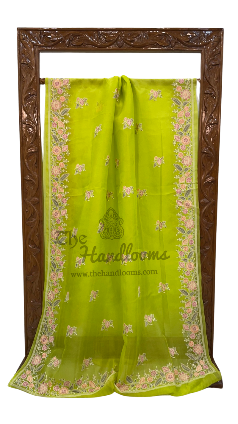 Pure Organza Chikankari Handloom Banarasi Saree - The Handlooms
