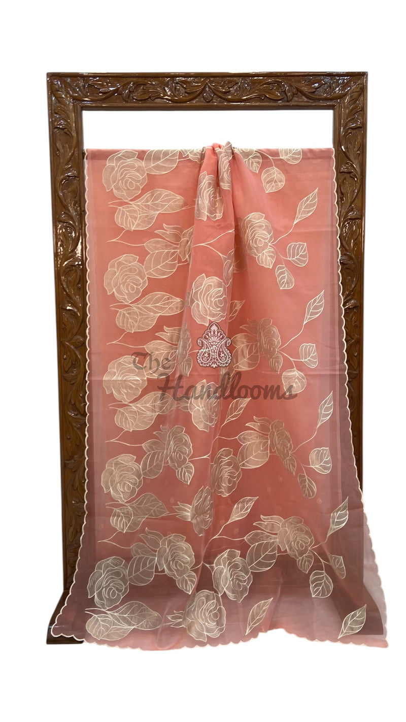 Pure Organza Handloom Banarasi Saree - Handwork
