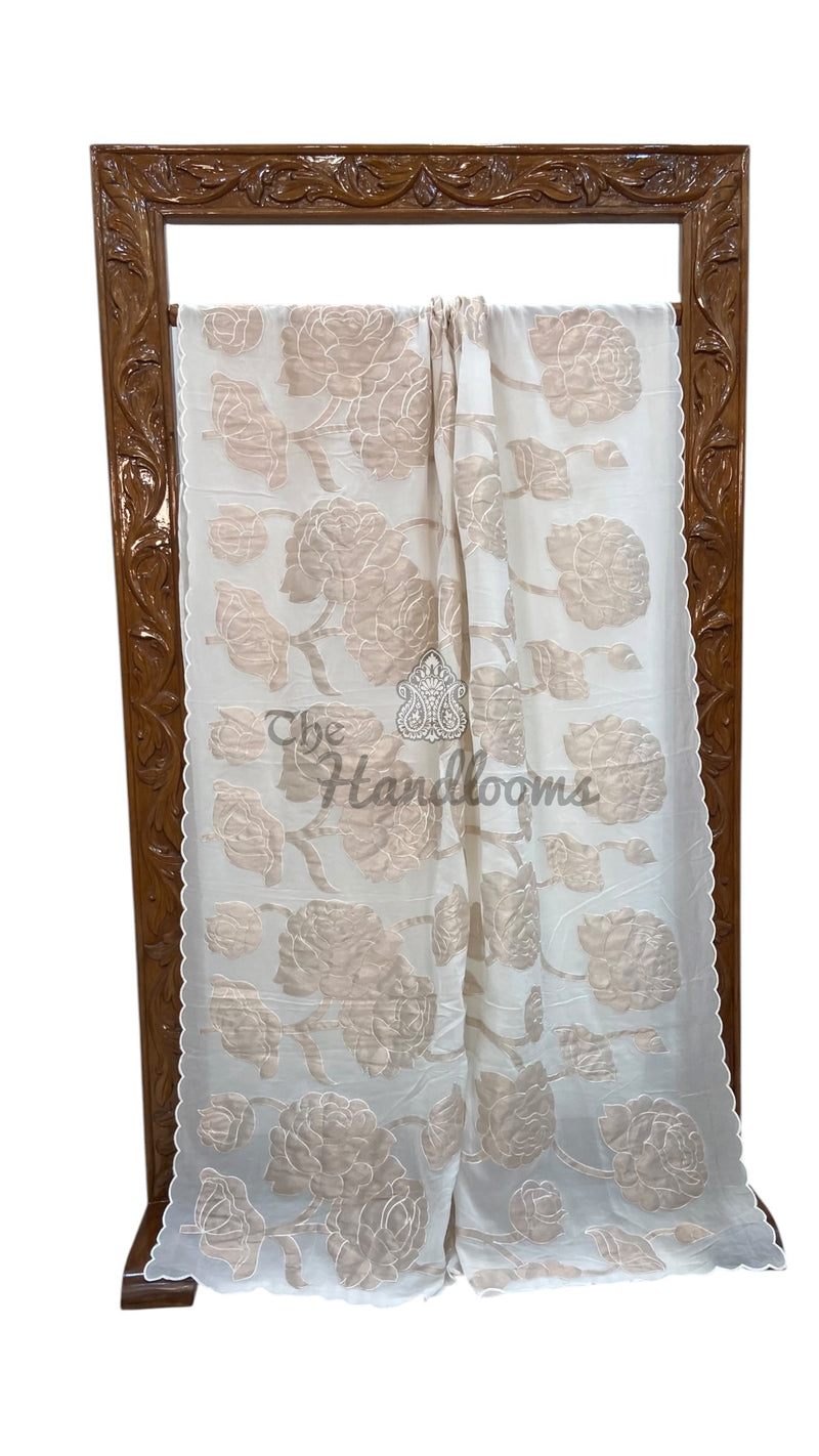 Pure Georgette Handloom Banarasi Saree - Handwork