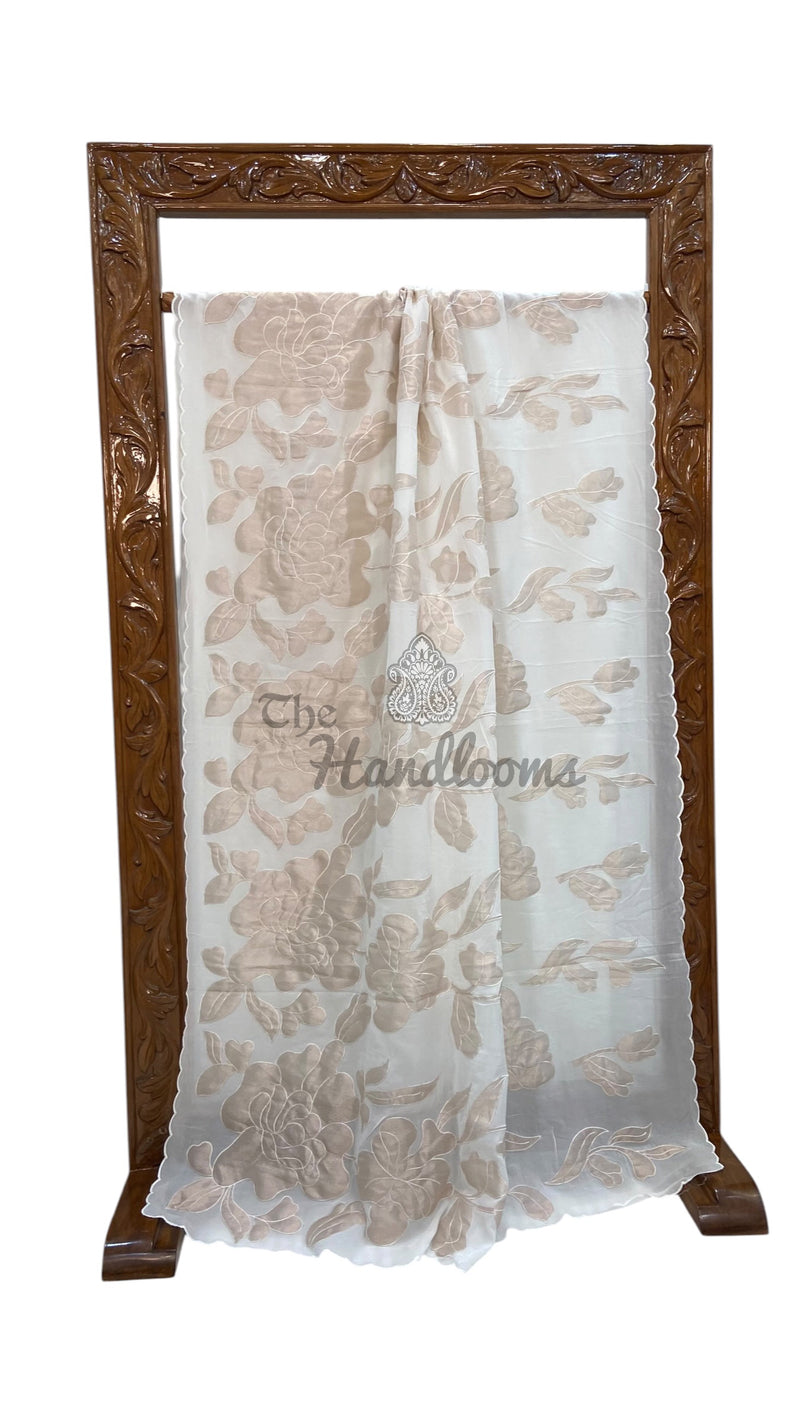 Pure Georgette Handloom Banarasi Saree - Handwork