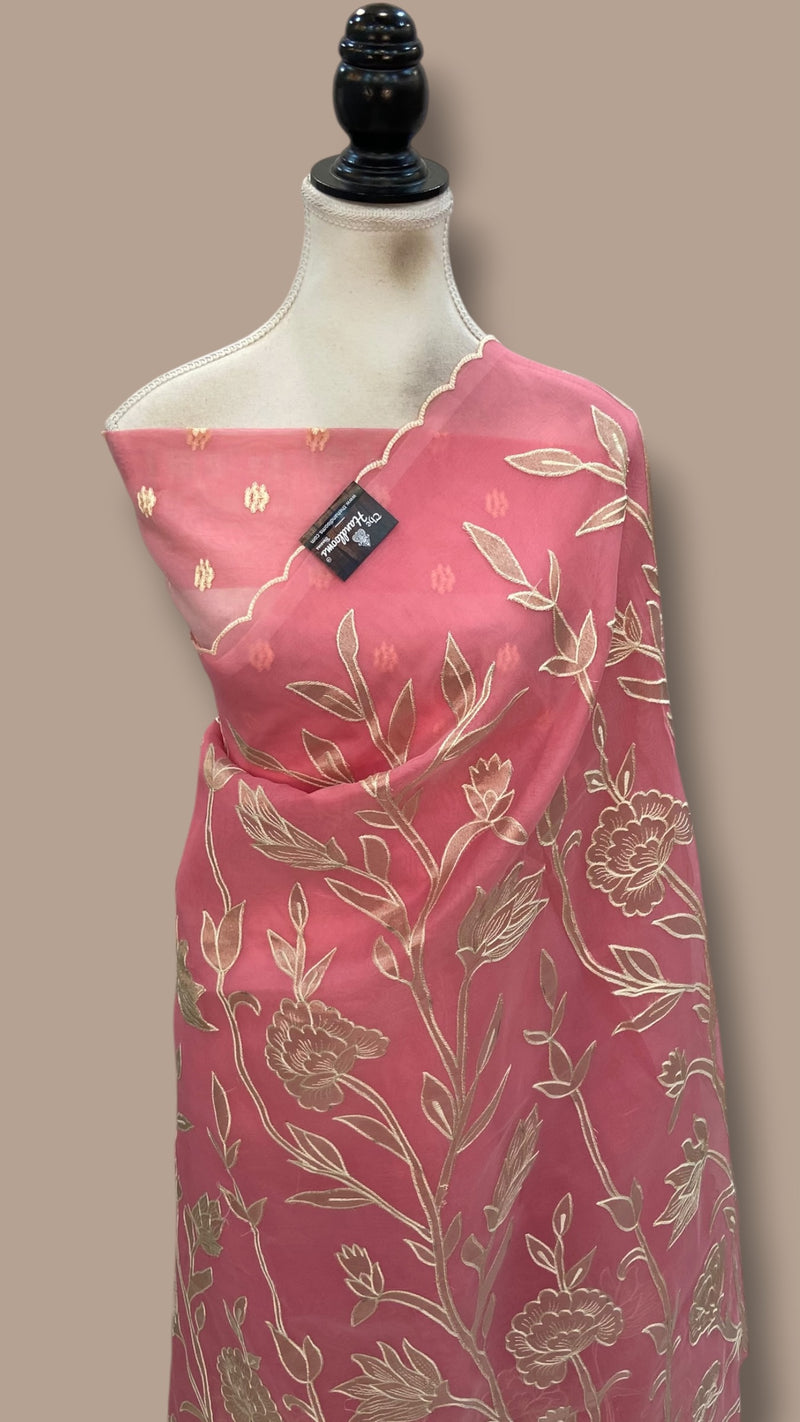 Pure Organza Handloom Banarasi Saree - Handwork