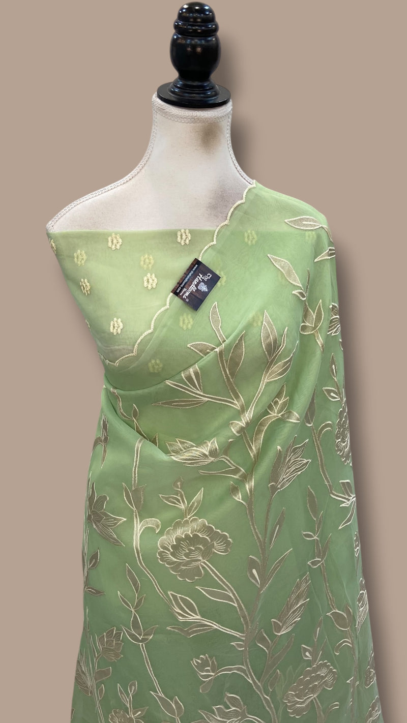 Pure Organza Handloom Banarasi Saree - Handwork