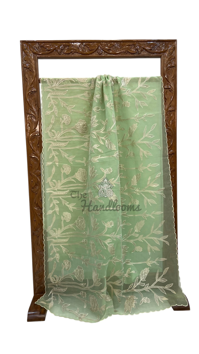 Pure Organza Handloom Banarasi Saree - Handwork