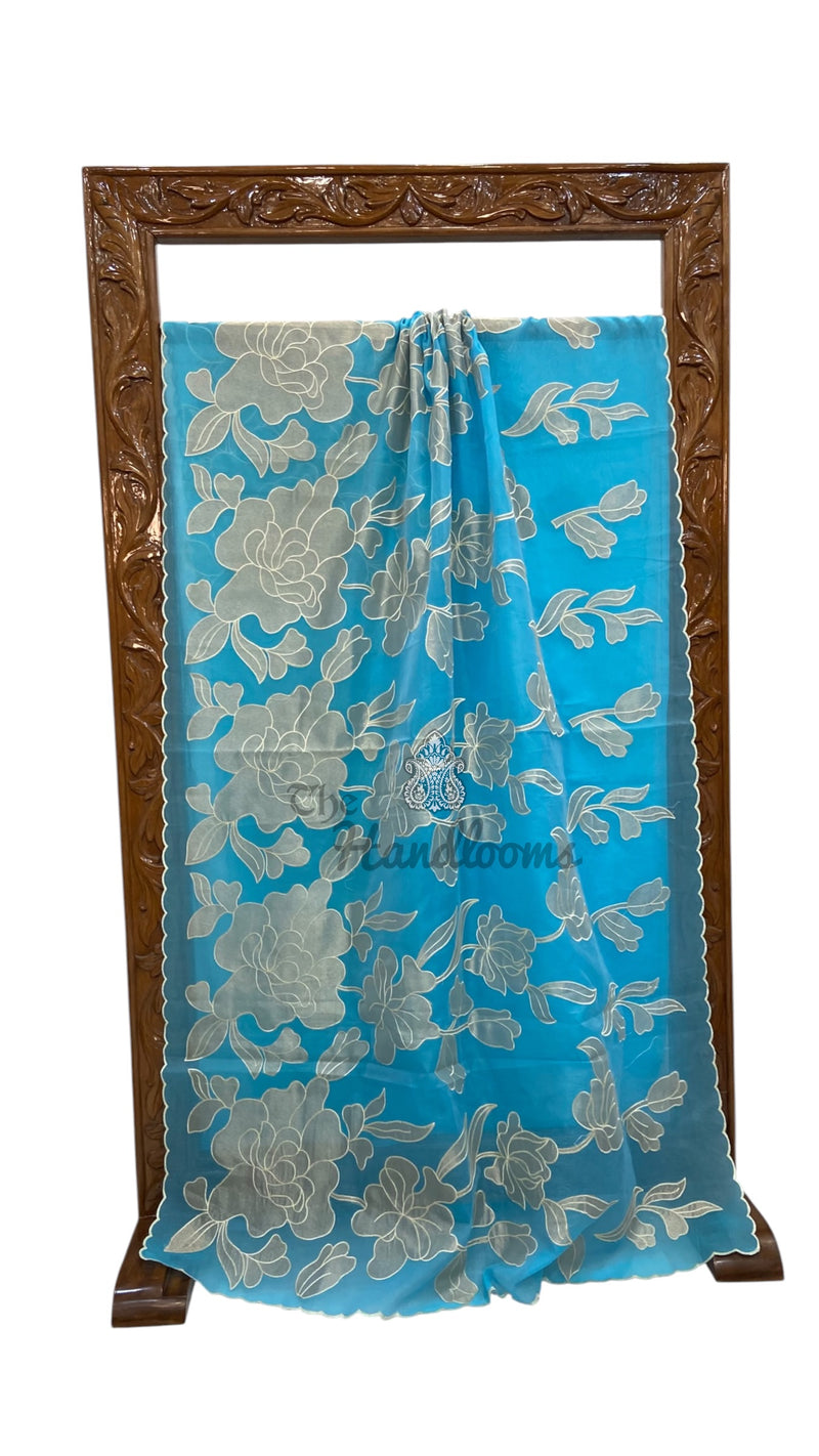 Pure Organza Handloom Banarasi Saree - Handwork