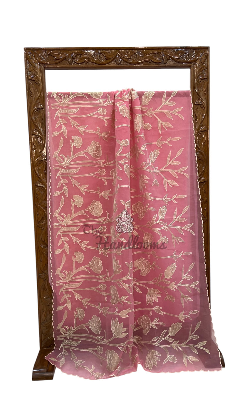 Pure Organza Handloom Banarasi Saree - Handwork