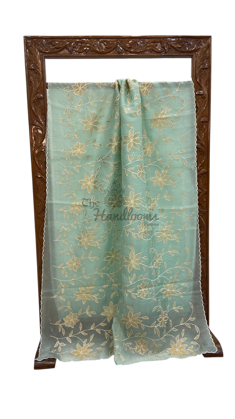 Pure Organza Handloom Banarasi Saree - Handwork