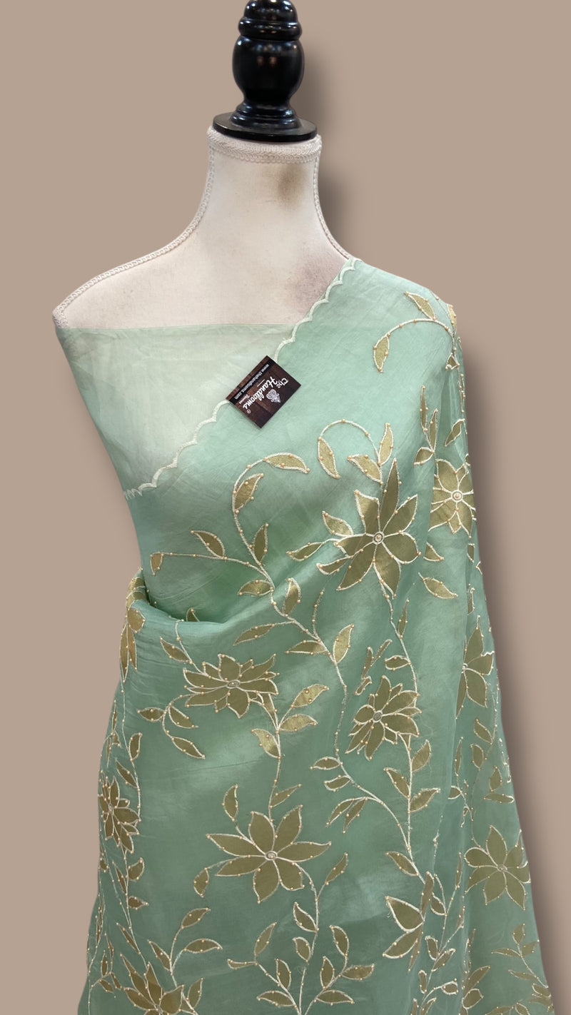 Pure Organza Handloom Banarasi Saree - Handwork