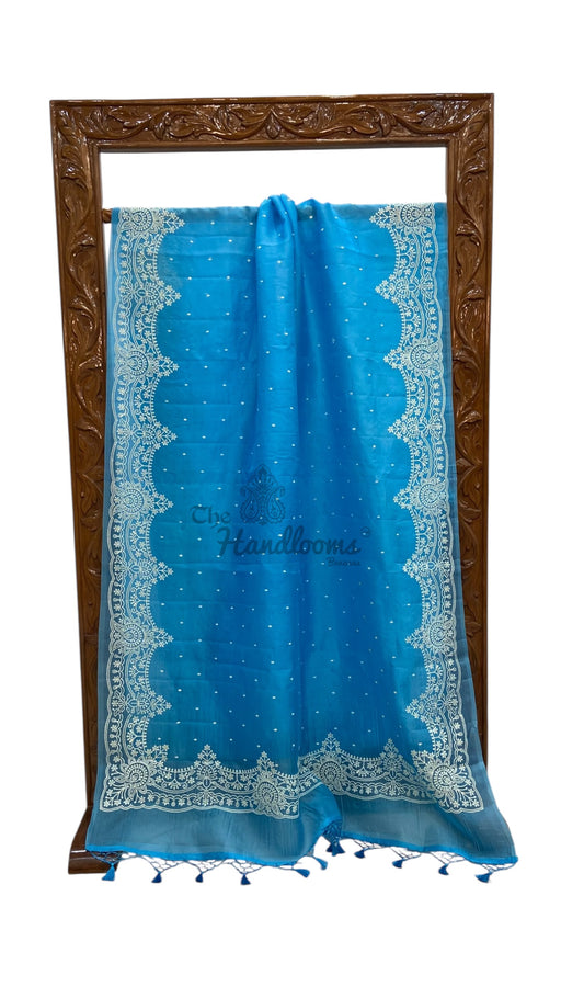 Pure Organza Chikankari Handloom Banarasi Saree - The Handlooms