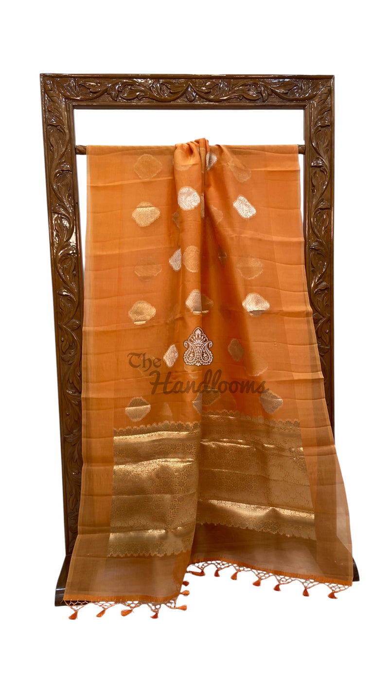Pure Kora Handloom Banarasi Saree