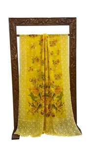 Pure Georgette Handloom Banarasi Saree - Chikanka With Digital Print - The Handlooms