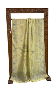 Pure Dupion Silk Handloom Banarasi Saree With Chikankari - The Handlooms