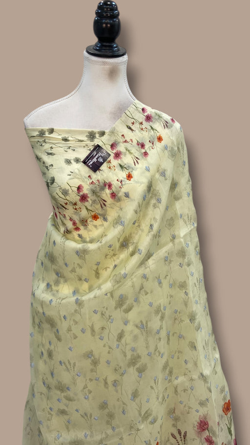 Pure Organza Digital Print with Chikankari Handloom Banarasi Saree - The Handlooms